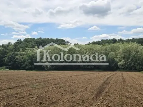 Sale, land lot, 6877m², Nemenikuće, Sopot - image 4