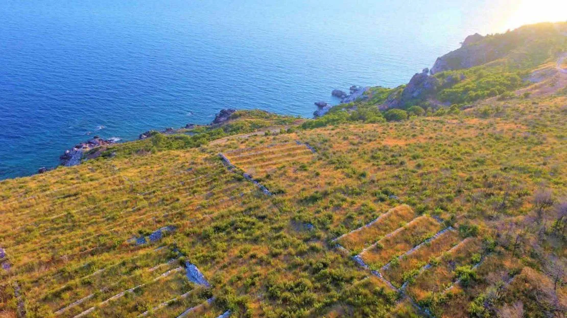 Prodaja, plac, 8000m², Reževići, Budva