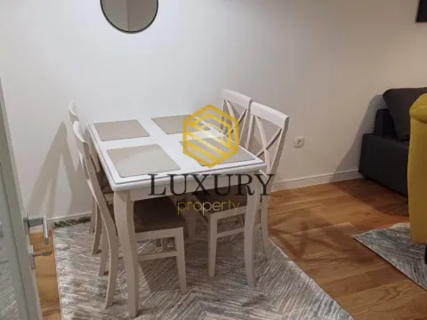 Izdavanje, jednosoban stan, 45m², Central Point, Podgorica - image 9