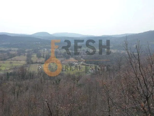 Prodaja, plac, 5428m², Ostalo, Podgorica