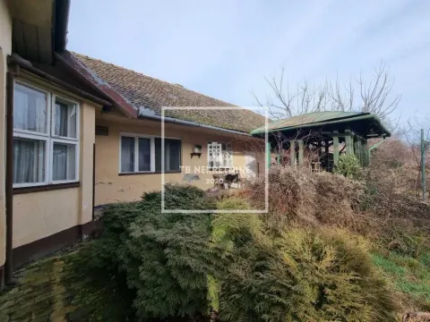 Pogled na dvorište i fasadu starije prizemne kuće sa pomoćnim objektom. - image 2