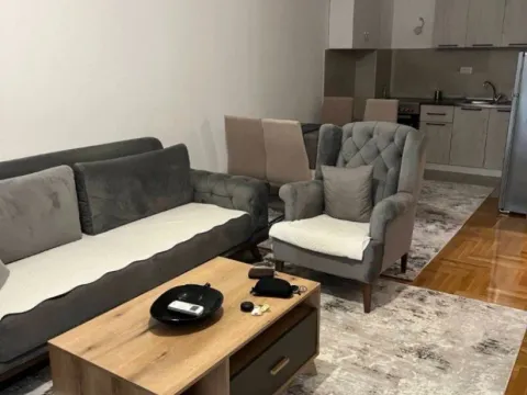 Izdavanje, jednosoban stan, 48m², Stari Aerodrom, Podgorica - image 1