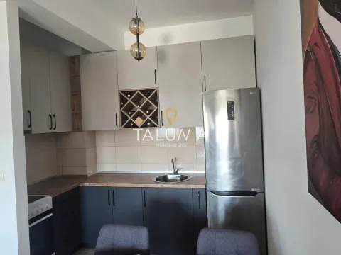 Rent, one bedroom apartment, 46m², Zabjelo, Podgorica - image 4