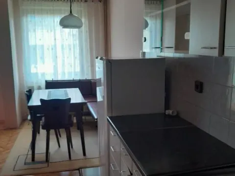 Izdavanje, jednosoban stan, 50m², Tavrića obori, Jagodina - image 3