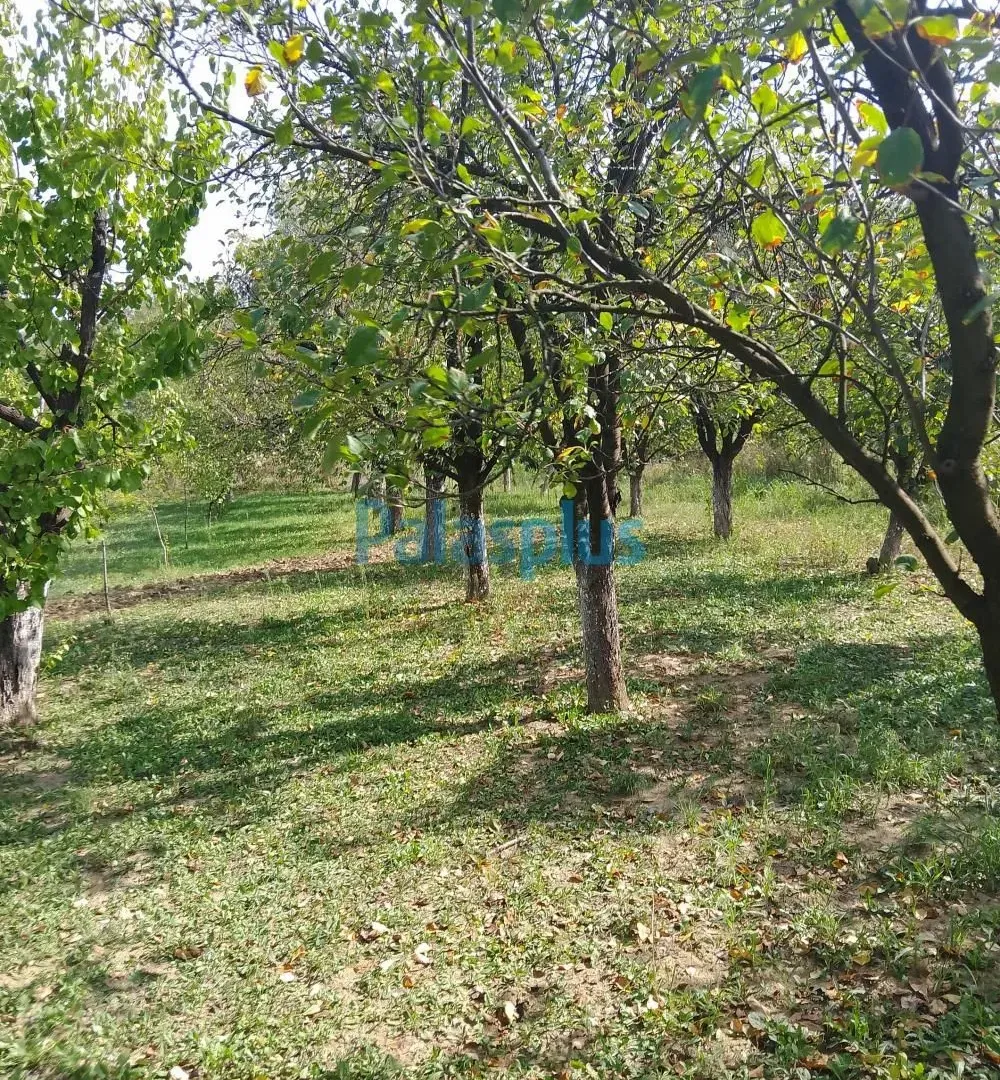 Prodaja, plac, 2457m², Plavinci, Grocka