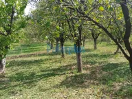 Prodaja, plac, Plavinci, Grocka - image 5