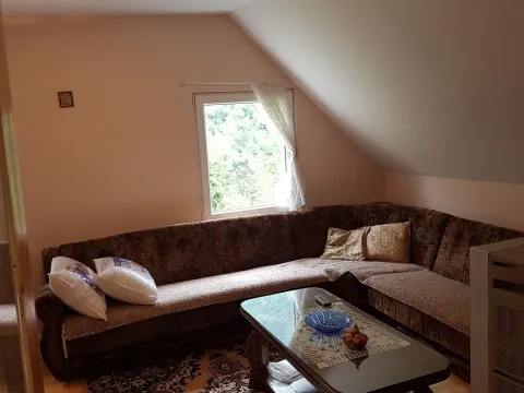 Rent, house, 100m², Dobrilovina, Mojkovac - image 10