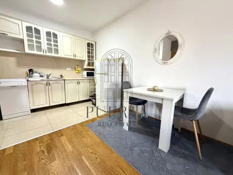 Izdavanje, jednosoban stan, 50m², Tuški Put, Podgorica - image 4