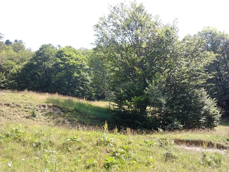 Prodaja, plac, 10000m², Kolašin, Crna Gora