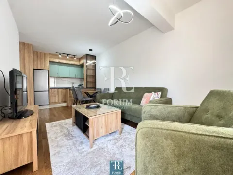 Izdavanje, jednosoban stan, 45m², Zagorič, Podgorica - image 3