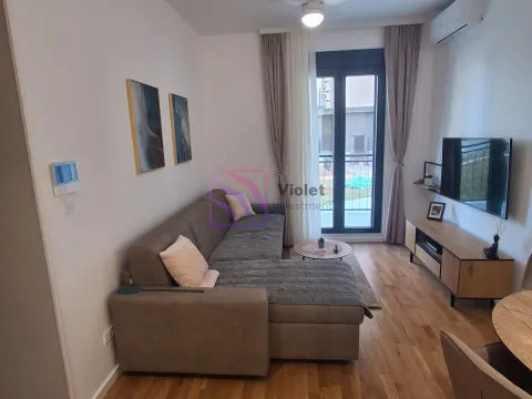 Rent, one bedroom apartment, 44m², Tološi, Podgorica - image 3