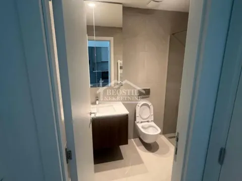 Izdavanje, dvosoban stan, 56m², Savski Venac, Beograd - image 9