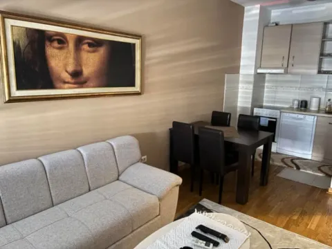 Daily-rent, one bedroom apartment, 47m², City Kvart, Podgorica - image 4