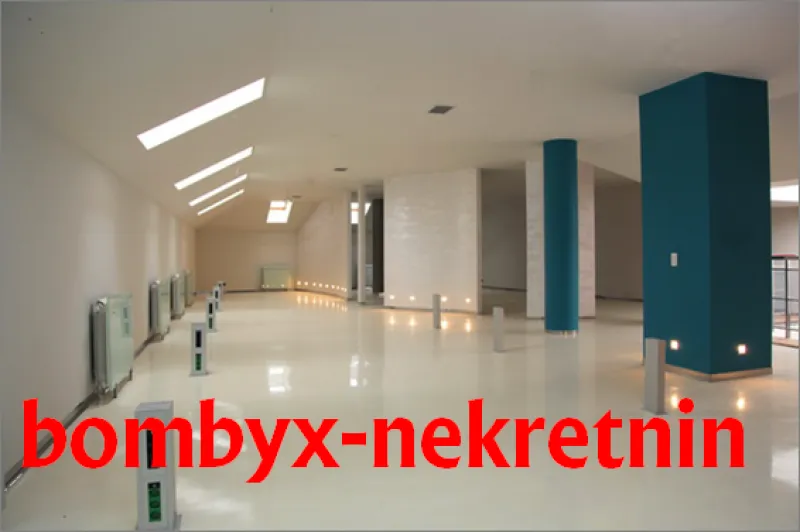 Rent, office space, 360m², Centar, Novi Sad