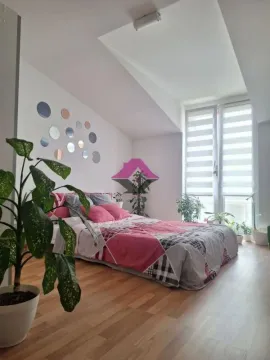 Sale, two bedroom apartment, 48m², Telep, Novi Sad Sve Podlokacije - image 14