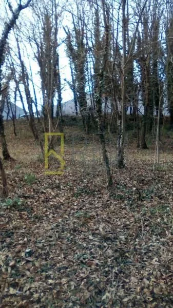 Prodaja, plac, 3900m², Glavica, Danilovgrad