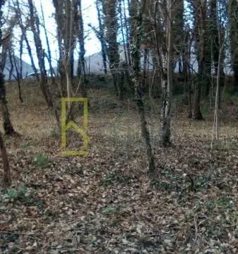 Sale, land lot, 3900m², Glavica, Danilovgrad - image 3