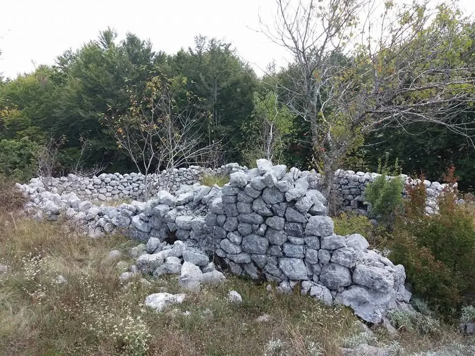 Prodaja, plac, 20000m², Cetinje, Crna Gora