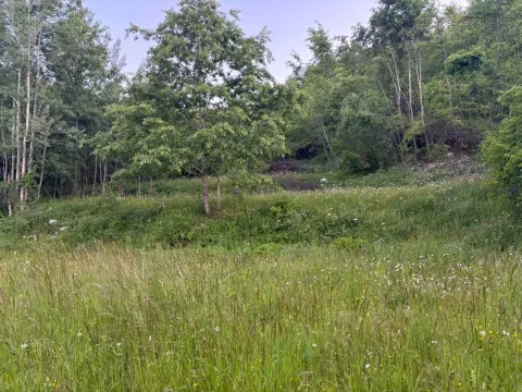 Sale, land lot, 3516m², Cetinje, Crna Gora - image 6