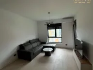 Rent, one bedroom apartment, 44m², Krivi Most, Podgorica - image 1