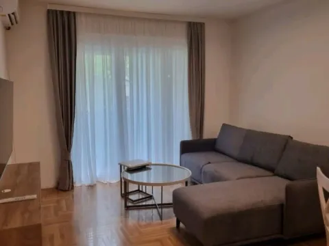 Rent, one bedroom apartment, 48m², Stari Aerodrom, Podgorica - image 2
