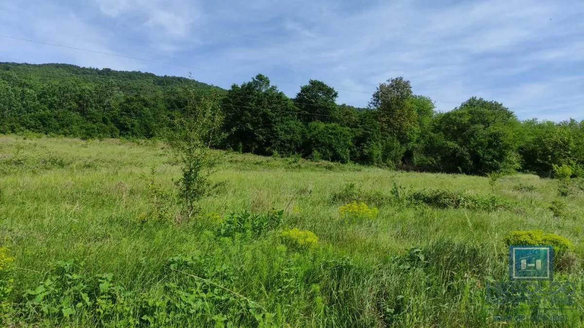 Prodaja, plac, 216600m², Resavica (varošica), Despotovac