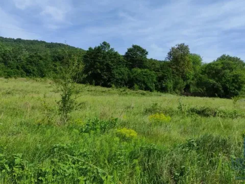 Prodaja, plac, 2166m², Resavica (varošica), Despotovac - image 3