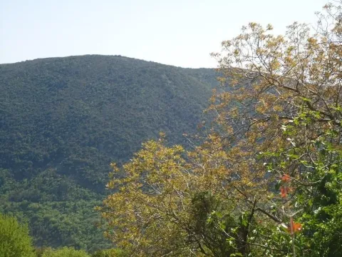 Prodaja, kuća, 743m², Sutorina, Herceg Novi - image 6