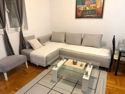 Rent, one bedroom apartment, 42m², Zabjelo, Podgorica - image 2