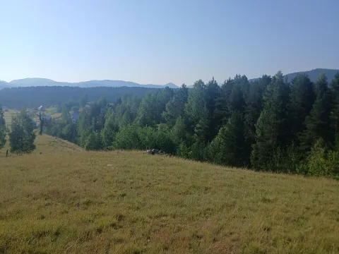 Sale, land lot, 3000m², Borje, Žabljak - image 3
