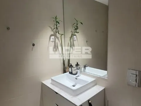 Izdavanje, dvosoban stan, 54m², Savski Venac, Beograd - image 8