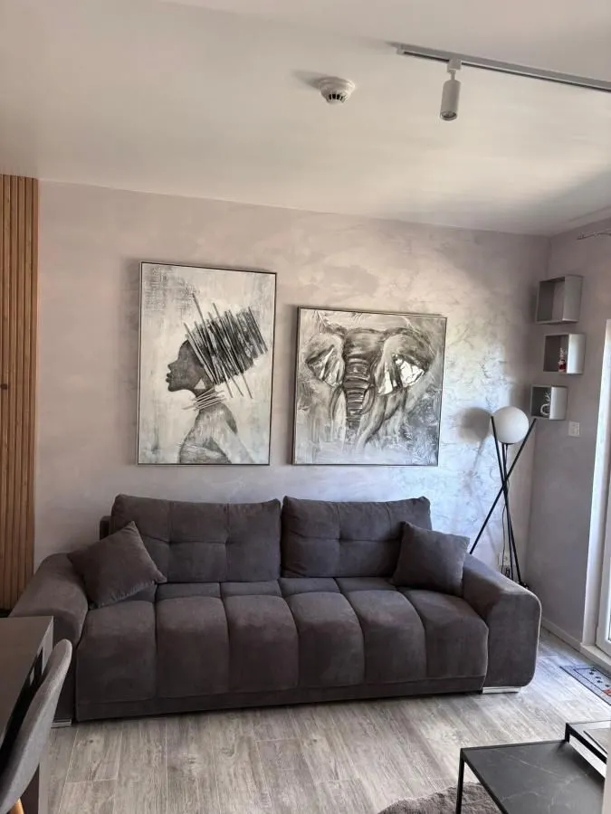 Sale, one bedroom apartment, 31m², Kraljevi Čardaci, Kopaonik