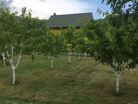 Prodaja, plac, 748m², Kolašin, Crna Gora - image 3