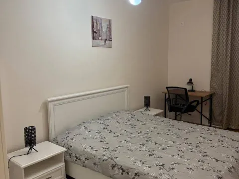 Izdavanje, jednosoban stan, 42m², Central Point, Podgorica - image 3