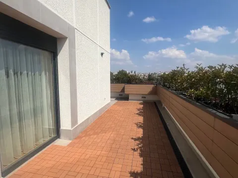 Izdavanje, četvorosoban stan, 237m², Vračar Hram, Vračar Sve Podlokacije - image 9