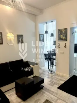 Izdavanje, jednosoban stan, 22m², Bajlonijeva Pijaca, Beograd - image 5