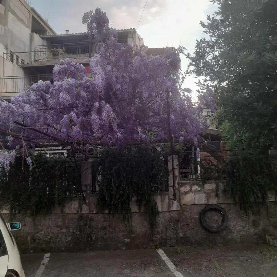 Prodaja, kuća, 398m², Nikovići, Tivat