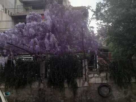 Prodaja, kuća, 398m², Nikovići, Tivat - image 2