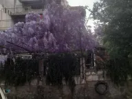 Sale, house, 398m², Nikovići, Tivat - image 2