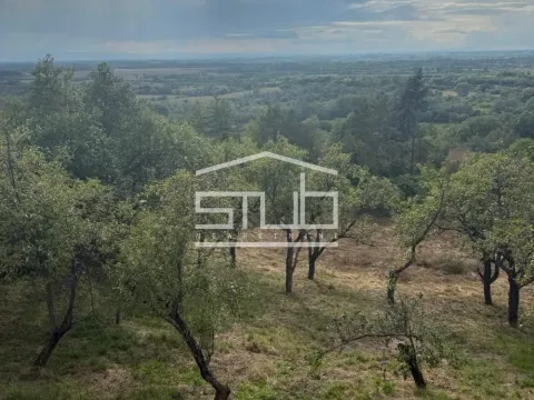 Prodaja, kuća, 205m², Draževac, Obrenovac - image 3