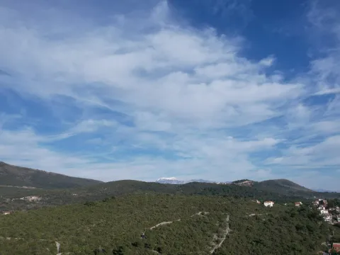 Prodaja, plac, 6500m², Luštica, Herceg Novi - image 9