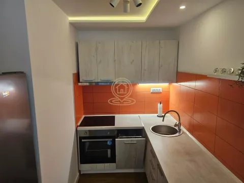 Izdavanje, dvosoban stan, 50m², Novi Beograd Blok 38, Novi Beograd Sve Podlokacije - image 7