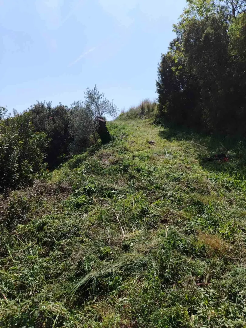 Sale, land lot, 756m², Zeleni Pojas, Bar