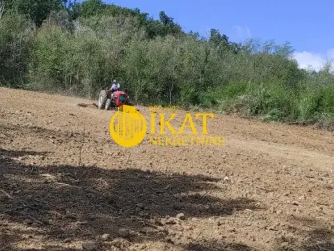 Prodaja, plac, 990m², Koraćica, Mladenovac - image 4