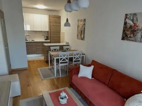 Izdavanje, jednosoban stan, 45m², City Kvart, Podgorica - image 2