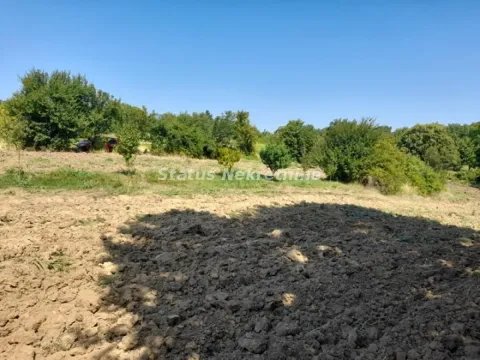 Prodaja, plac, 1500m², Inđija, Srbija - image 3