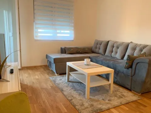 Rent, one bedroom apartment, 48m², Stari Aerodrom, Podgorica - image 3