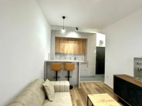 Prodaja, jednosoban stan, 34m², Zabjelo, Podgorica - image 3