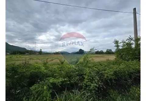 Prodaja, plac, Podgorica, Crna Gora - image 6