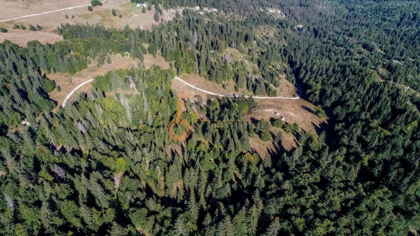 Prodaja, plac, 184880m², Žabljak, Crna Gora